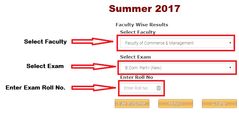 RTMNU Result summer 2017